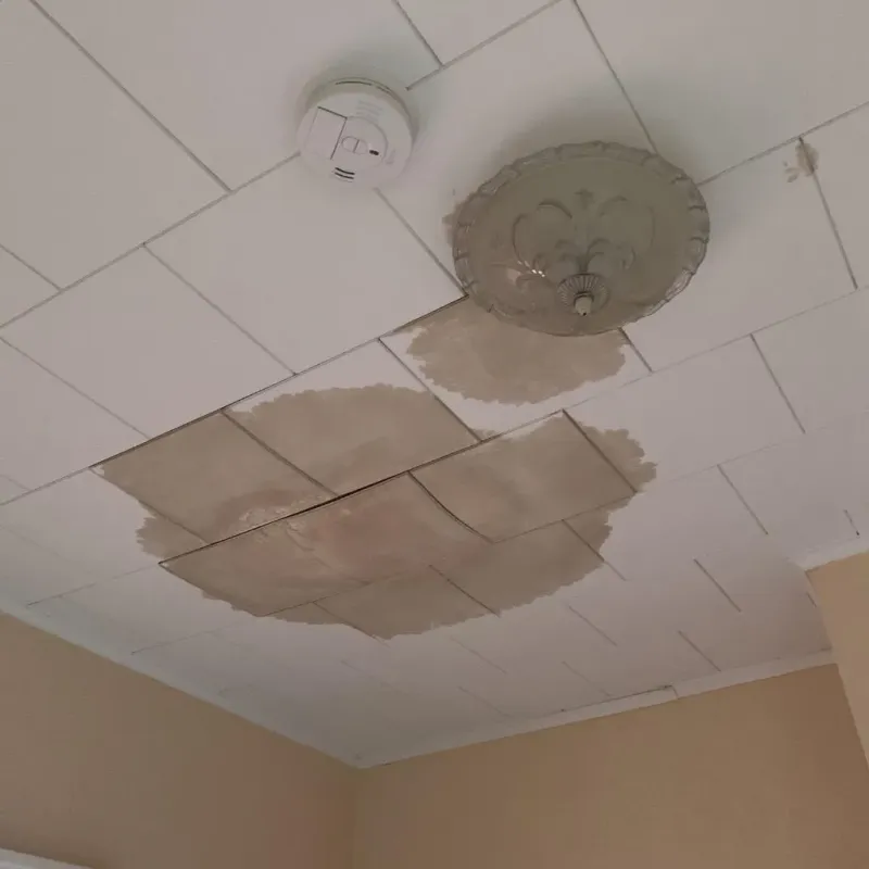 Ceiling Water Damage Repair in Gardere, LA