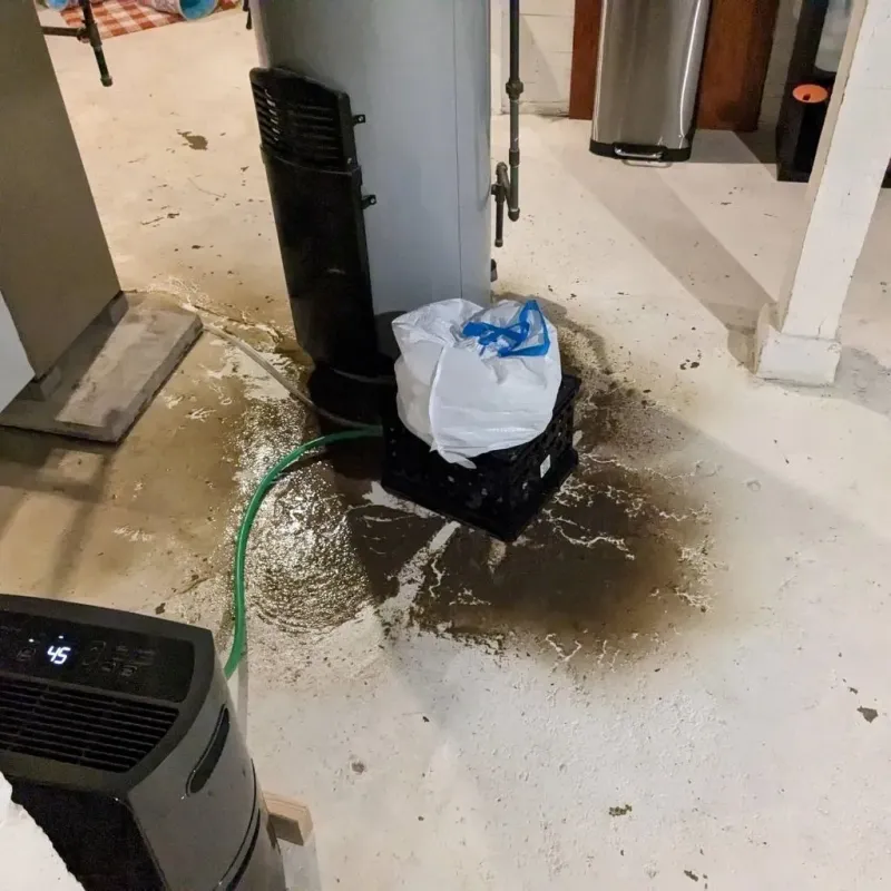 Sewage Backup Cleanup Service in Gardere, LA